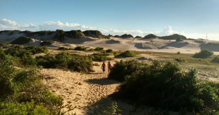 Campo de dunas do Parque Estadual de Itaúnas, com trilha de areia entre a vegetação de restinga e as dunas ao fundo