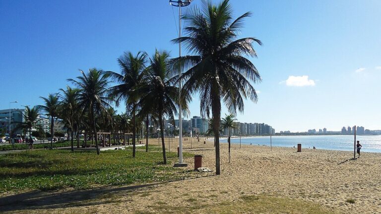 Faixa de areia e coqueiros da Praia de Camburi, com a orla urbana de Vitória ao fundo