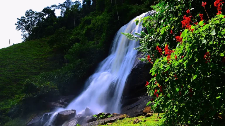 Cachoeira da Vovó Lúcia, em Alfredo Chaves (ES), com a queda branca descendo pela pedra escura entre mata verde e flores vermelhas, em dia de sol