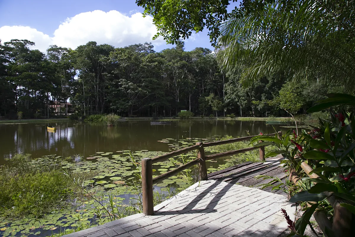 Lago com ninfeias na Reserva Natural Vale, em Linhares (ES), visto de uma calçada de bloquete com guarda-corpo de troncos, cercado de mata alta sob céu azul com nuvens