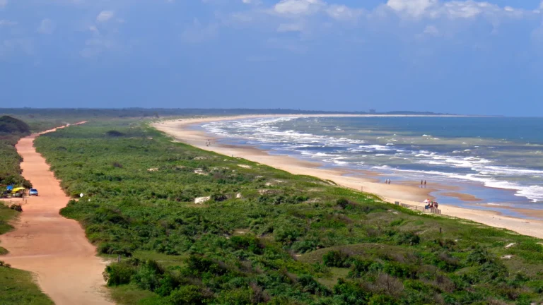 Trecho agreste da praia de Guriri, com a restinga e a estrada de terra