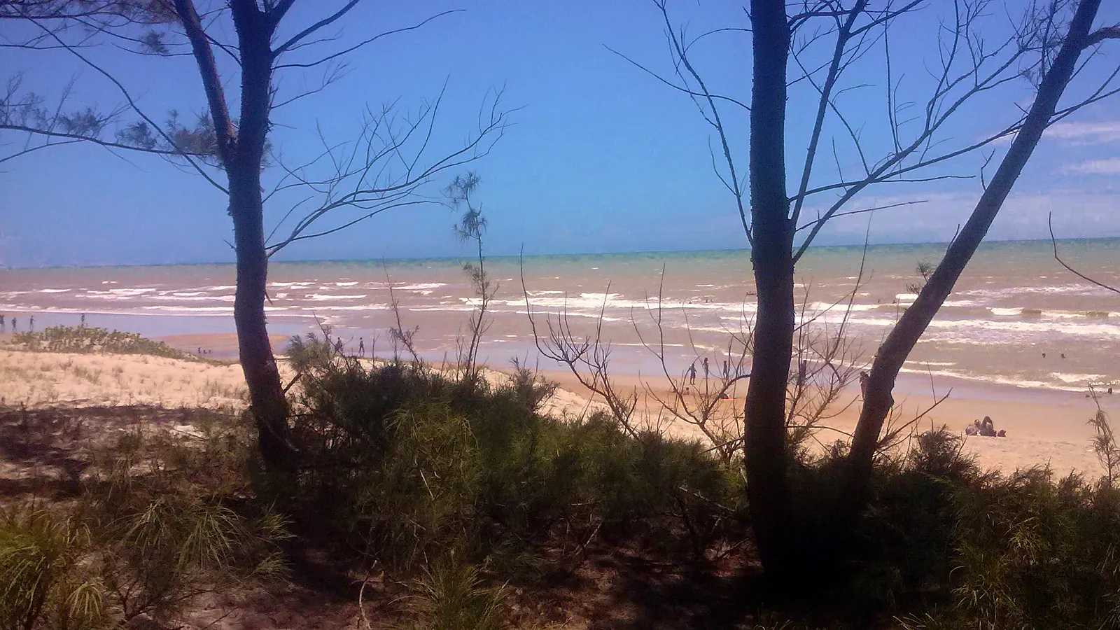 Praia do Bosque, na Ilha de Guriri, vista por entre as árvores da orla, com sombra na restinga e o mar ao fundo