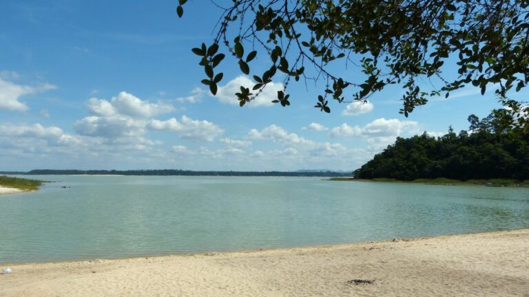 Faixa de areia da Lagoa Juparanã, em Linhares - ES, com água verde, céu azul e mata na margem oposta