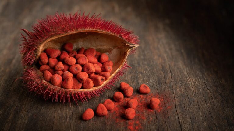 Cápsula de urucum aberta sobre madeira escura, com as sementes vermelhas cobertas de pigmento e alguns grãos soltos ao lado.